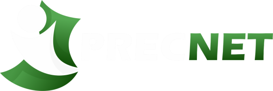 PrecNet